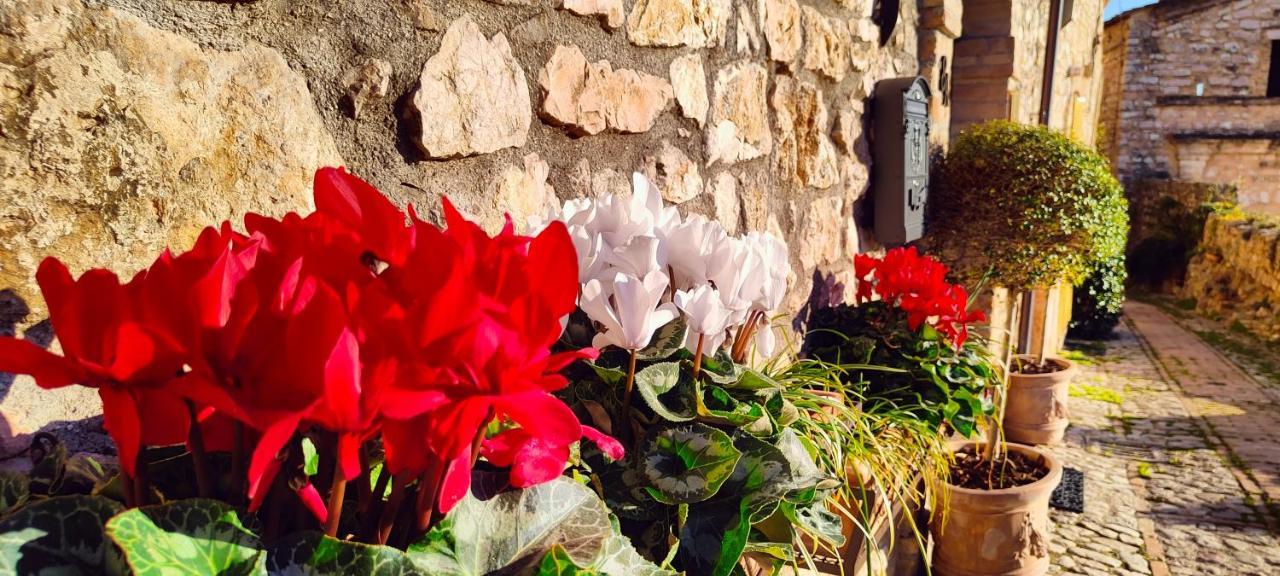 Dimora Porta Venere Villa Spello Kültér fotó